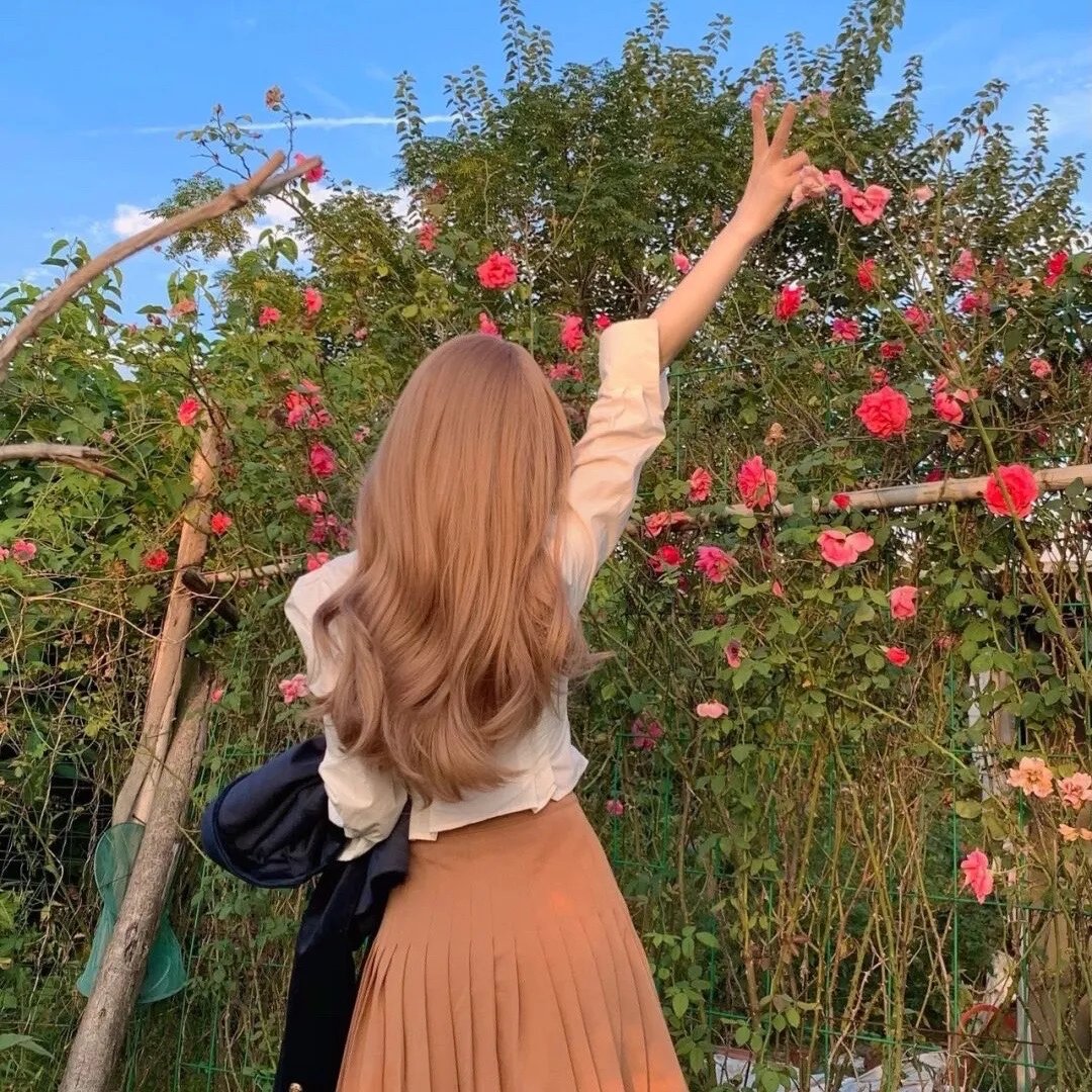 帮帮我托德第二季